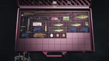 Pink Attache Case (Silver)