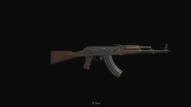 Counter Strike 2 - AK-47