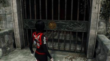 Ada Wong Corinthiana