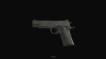 Kimber Desert Warrior 1911