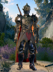 Armour of Vengeance
