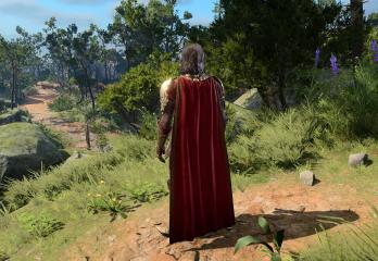 Legendary Guardian Armour