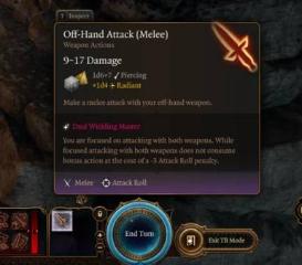 Dual Wielding Master