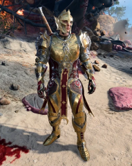 Chosen of Lathander's Armoury