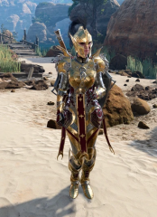 Chosen of Lathander's Armoury