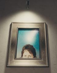 Todd Howard Painting Replacer