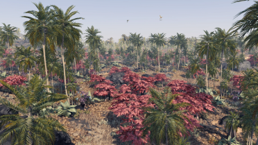 Green Palm Trees (No More Red-Orange Palm Trees)