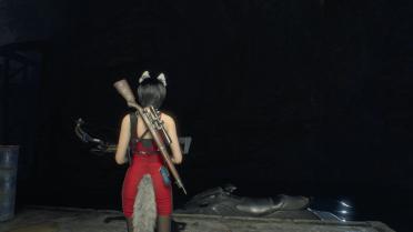 Visible Weapons on Ada's Back