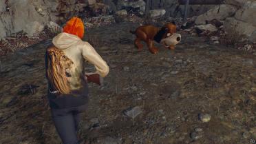 Duck Hunt Hound over Dog