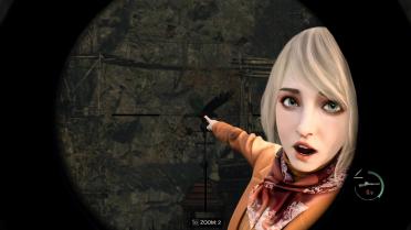 Ashley Pointing Scope