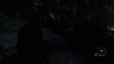 Blacktail Laser Sight