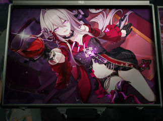 Silver Briefcase - Selim Nutrisko