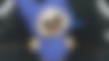 Kit monster replaces diana 