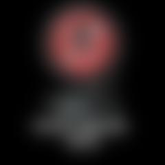 Special Marlene photo 