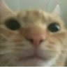 userimg