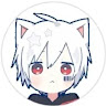 asoo31.zm13