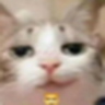 userimg