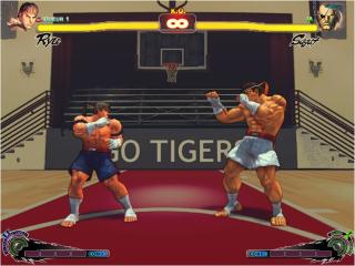 Muay Thai Fighter