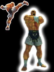 UFC Fighter