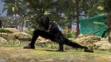 Hayate Black Panther