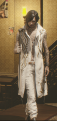 Aristocratic Poet New V Costume