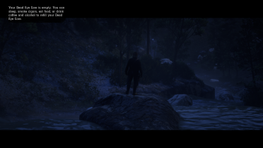 PS4 RDR2 settings