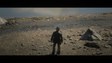 PS4 RDR2 settings