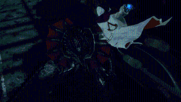 Assassin Nero