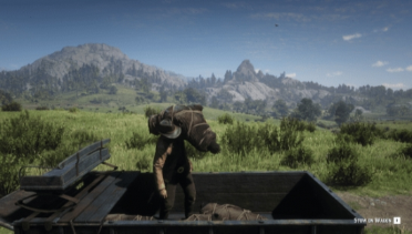 Hunting carriage