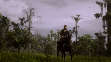 Red Dead Seb