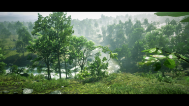 PS4 RDR2 settings