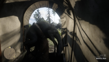 Hunting car