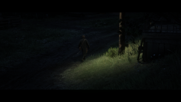 PS4 RDR2 settings