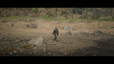 PS4 RDR2 settings