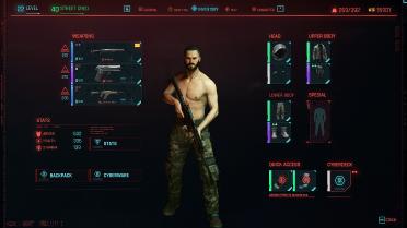 Hidden armor