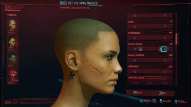Cyberpunk Scar Collection