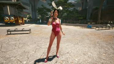 Bunny set-10 colors