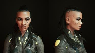 Pantariste's hair editor