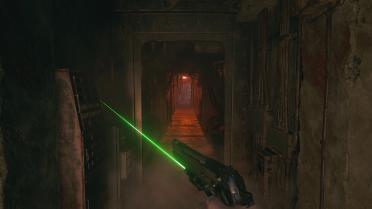 Custom laser sight