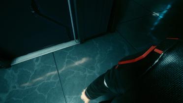 Immersive first-person perspective