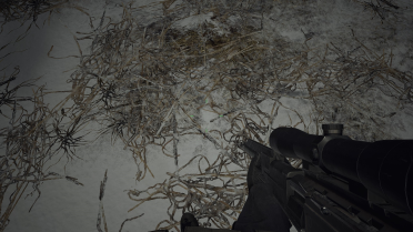 BSAA replaces Ethan