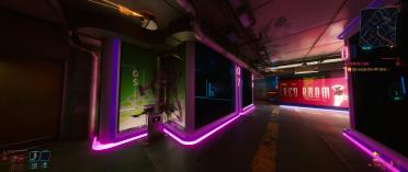 Borderlands 2077