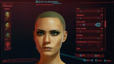 Cyberpunk Scar Collection