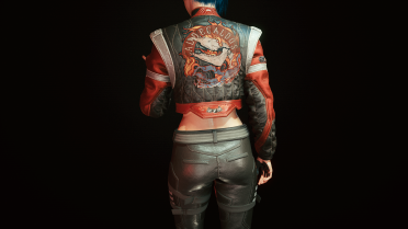 A set of NPC costumes