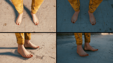 Female V's foot model