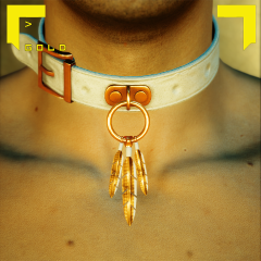 Feather Necklace