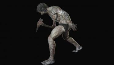 Underwear Werewolf