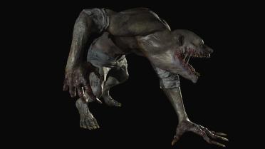 Varcolac Hairless