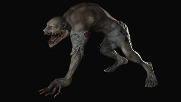 Varcolac Hairless