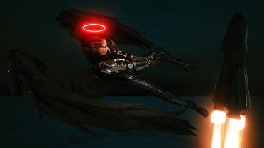 Male V or Female V halo